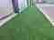 Artificial Grass