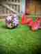 Artificial Grass 5