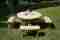 Large Circular Picnic Table